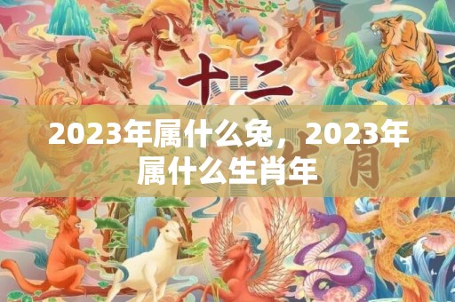 2023年属什么兔，2023年属什么生肖年