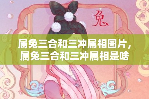 属兔三合和三冲属相图片，属兔三合和三冲属相是啥