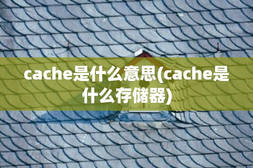 cache是什么意思(cache是什么存储器)