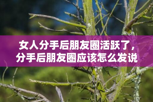 女人分手后朋友圈活跃了，分手后朋友圈应该怎么发说说