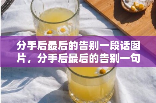分手后最后的告别一段话图片，分手后最后的告别一句话简短一点