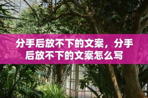 分手后放不下的文案，分手后放不下的文案怎么写
