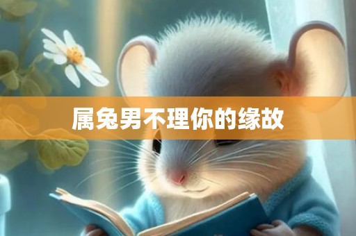 属兔男不理你的缘故