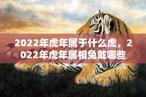 2022年虎年属于什么虎，2022年虎年属相兔戴哪些