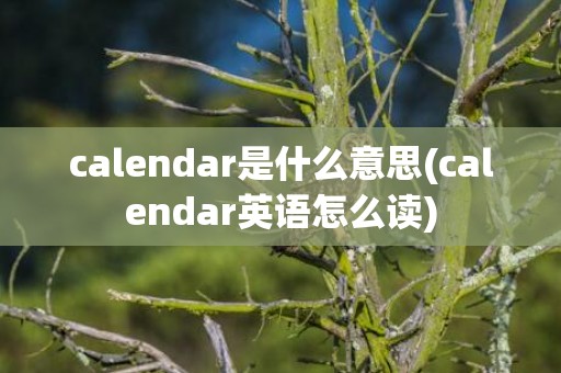calendar是什么意思(calendar英语怎么读)