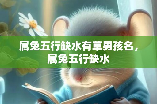 属兔五行缺水有草男孩名，属兔五行缺水