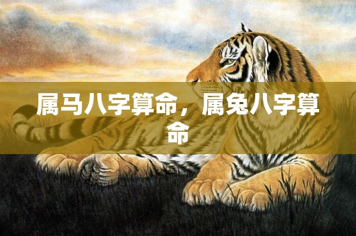 属马八字算命，属兔八字算命