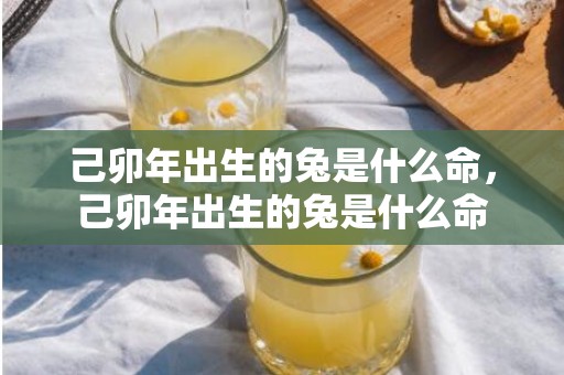 己卯年出生的兔是什么命，己卯年出生的兔是什么命