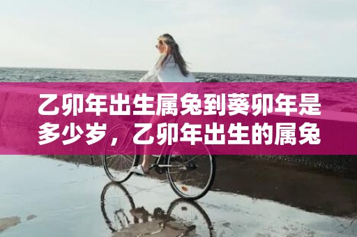 乙卯年出生属兔到葵卯年是多少岁，乙卯年出生的属兔人是什么命