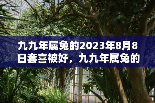 九九年属兔的2023年8月8日套喜被好，九九年属兔的2022年幸运色