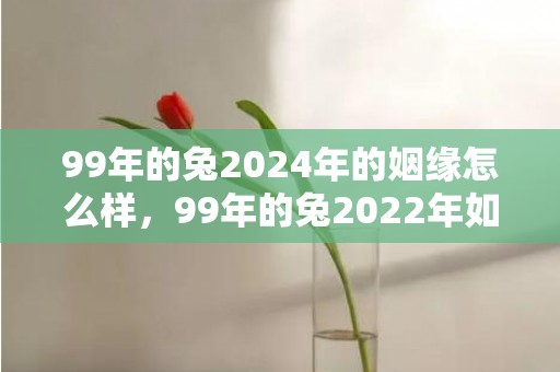 99年的兔2024年的姻缘怎么样，99年的兔2022年如何