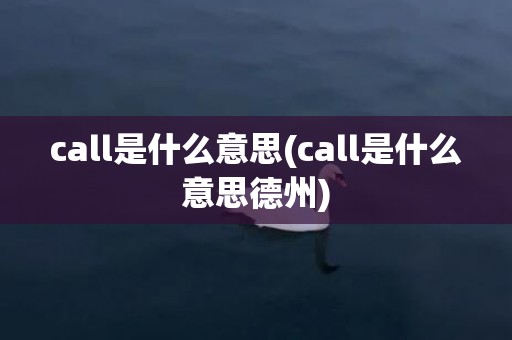 call是什么意思(call是什么意思德州)