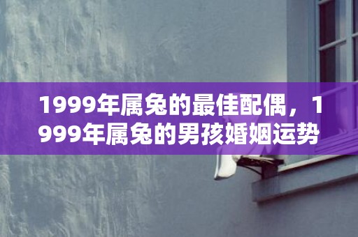1999年属兔的最佳配偶，1999年属兔的男孩婚姻运势分析