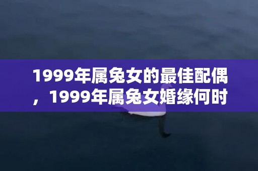 1999年属兔女的最佳配偶，1999年属兔女婚缘何时会来