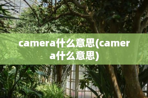 camera什么意思(camera什么意思)