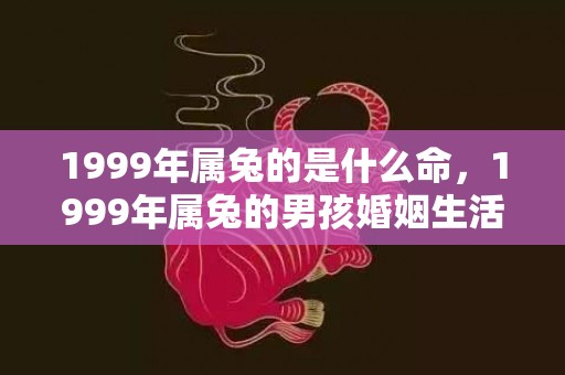 1999年属兔的是什么命，1999年属兔的男孩婚姻生活和运势