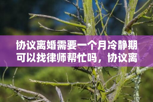 协议离婚需要一个月冷静期可以找律师帮忙吗，协议离婚需要一个月冷静期吗