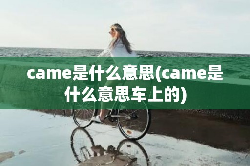came是什么意思(came是什么意思车上的)