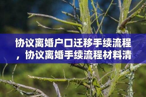 协议离婚户口迁移手续流程，协议离婚手续流程材料清单