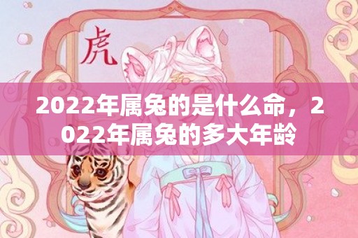2022年属兔的是什么命，2022年属兔的多大年龄