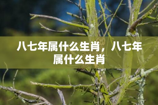 八七年属什么生肖，八七年属什么生肖