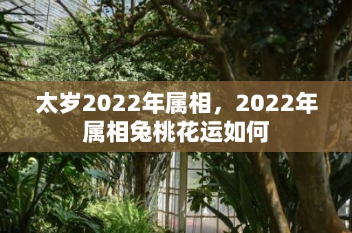 太岁2022年属相，2022年属相兔桃花运如何