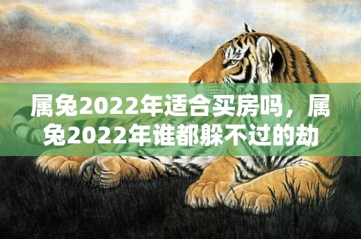 属兔2022年适合买房吗，属兔2022年谁都躲不过的劫难