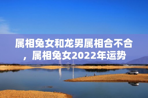 属相兔女和龙男属相合不合，属相兔女2022年运势