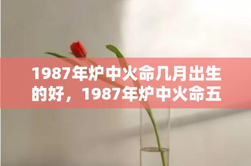 1987年炉中火命几月出生的好，1987年炉中火命五行缺什么