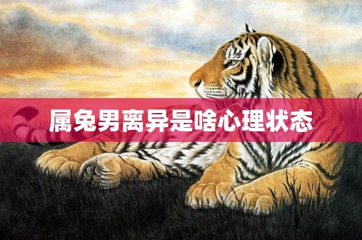 属兔男离异是啥心理状态