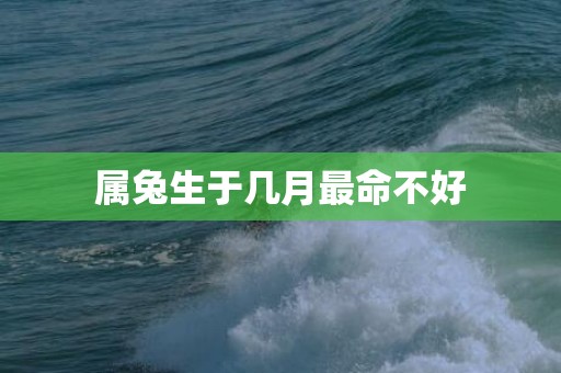 属兔生于几月最命不好