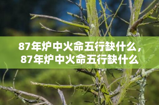 87年炉中火命五行缺什么，87年炉中火命五行缺什么