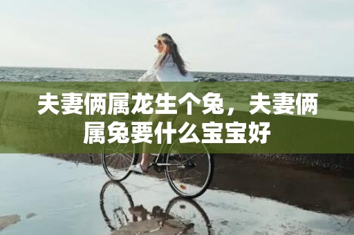 夫妻俩属龙生个兔，夫妻俩属兔要什么宝宝好