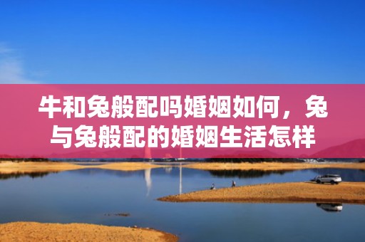 牛和兔般配吗婚姻如何，兔与兔般配的婚姻生活怎样