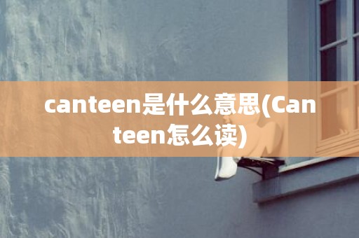 canteen是什么意思(Canteen怎么读)