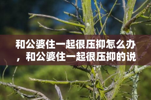 和公婆住一起很压抑怎么办，和公婆住一起很压抑的说说短句文案