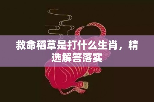 救命稻草是打什么生肖，精选解答落实