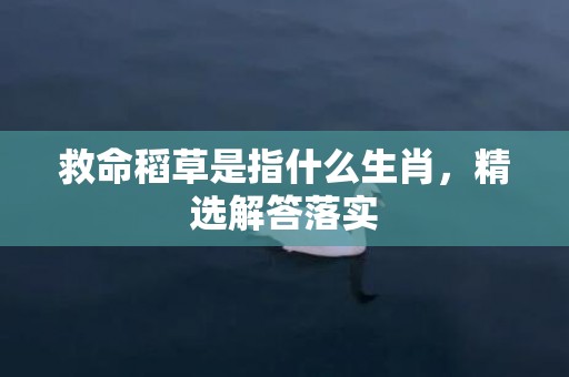 救命稻草是指什么生肖，精选解答落实