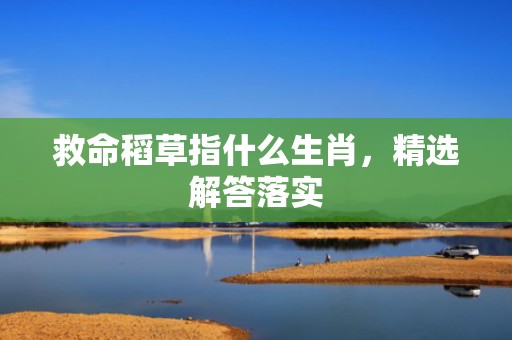 救命稻草指什么生肖，精选解答落实