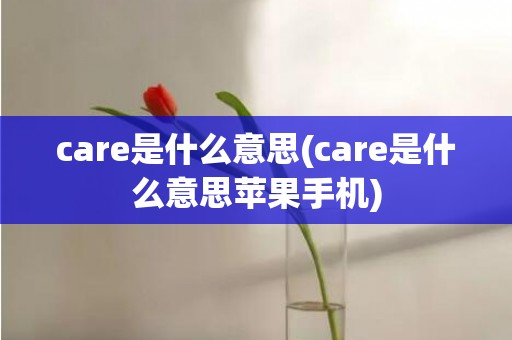 care是什么意思(care是什么意思苹果手机)