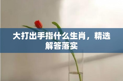 大打出手指什么生肖，精选解答落实