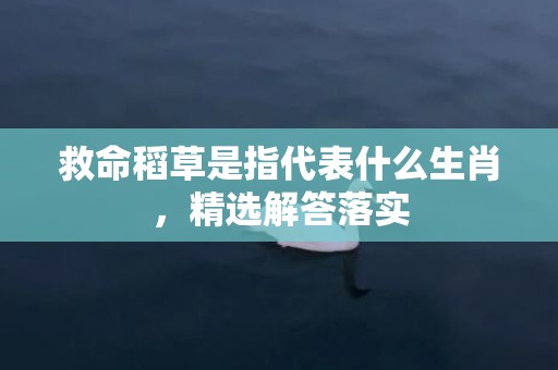 救命稻草是指代表什么生肖，精选解答落实