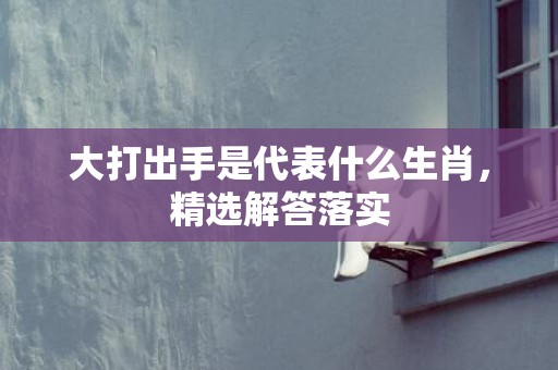 大打出手是代表什么生肖，精选解答落实