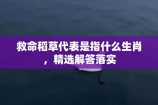 救命稻草代表是指什么生肖，精选解答落实