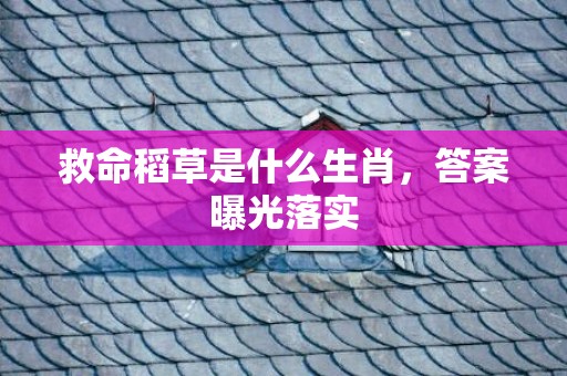 救命稻草是什么生肖，答案曝光落实