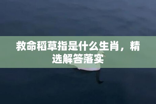 救命稻草指是什么生肖，精选解答落实