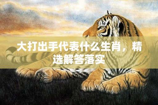 大打出手代表什么生肖，精选解答落实