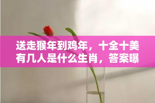 送走猴年到鸡年，十全十美有几人是什么生肖，答案曝光落实