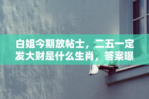 白姐今期放帖士，二五一定发大财是什么生肖，答案曝光落实