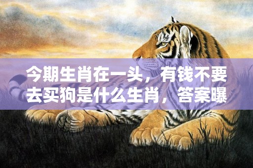 今期生肖在一头，有钱不要去买狗是什么生肖，答案曝光落实